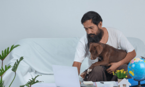 Pet Insurance Policies