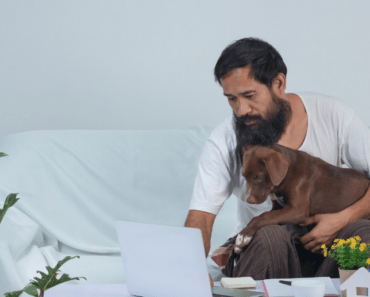 5 Pet Insurance Policies That Are Actually Worth It in a Costly Emergency